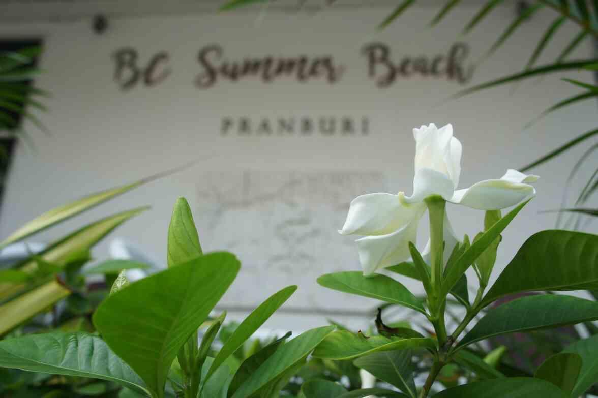 Bc Summer Beach Пранбури Экстерьер фото